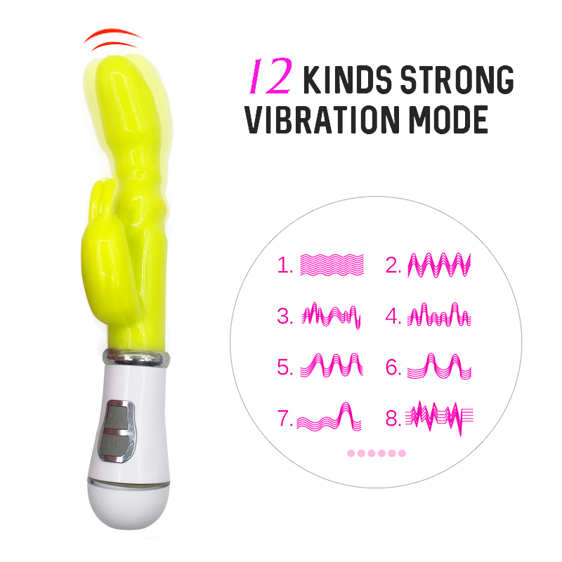 2 in 1 Dildo Vibrator